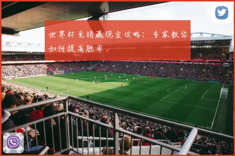 世界杯竞猜赢现金攻略：专家教你如何提高胜率