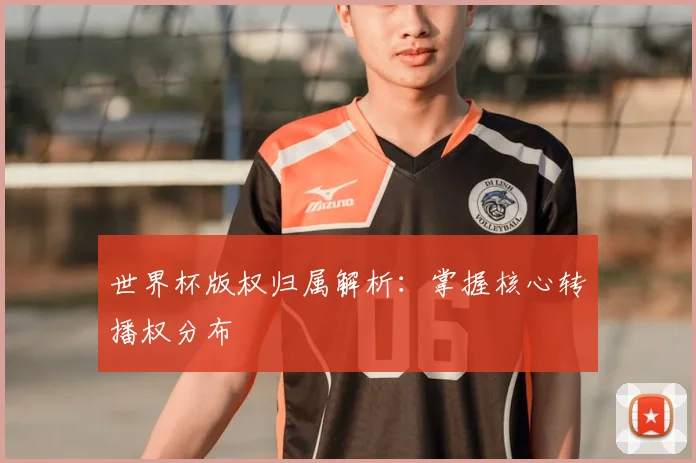 世界杯版权归属解析：掌握核心转播权分布