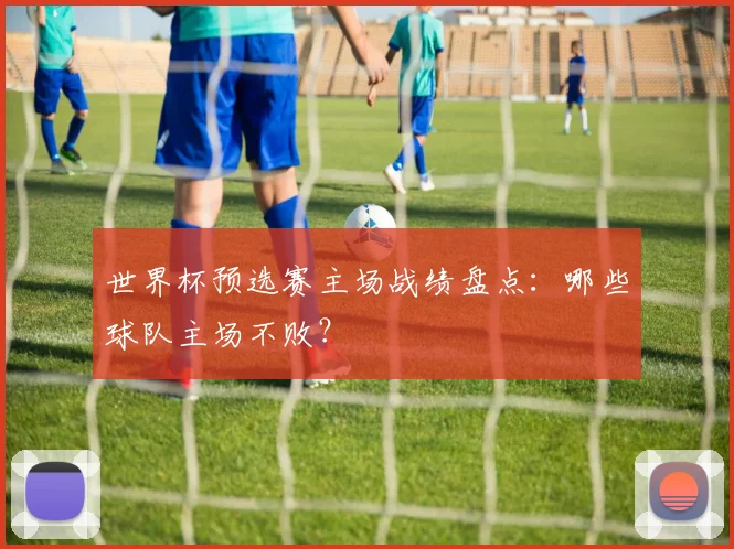 世界杯预选赛主场战绩盘点:哪些球队主场不败?
