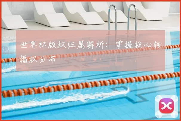世界杯版权归属解析：掌握核心转播权分布